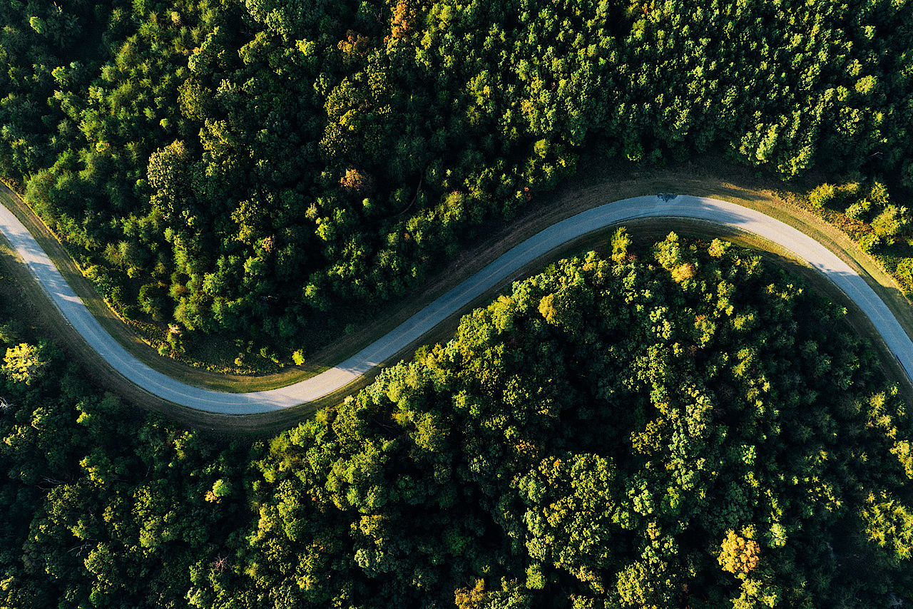 Waldstraße - gruen dank Qcells Naturstrom