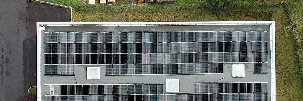 Qcells Q Log Header 2020 06 Foto