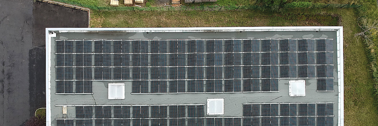 Qcells Q Log Header 2020 06 Foto