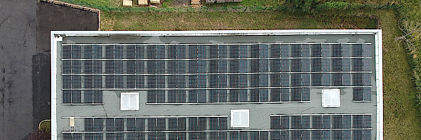 Qcells Q Log Header 2020 06 Foto