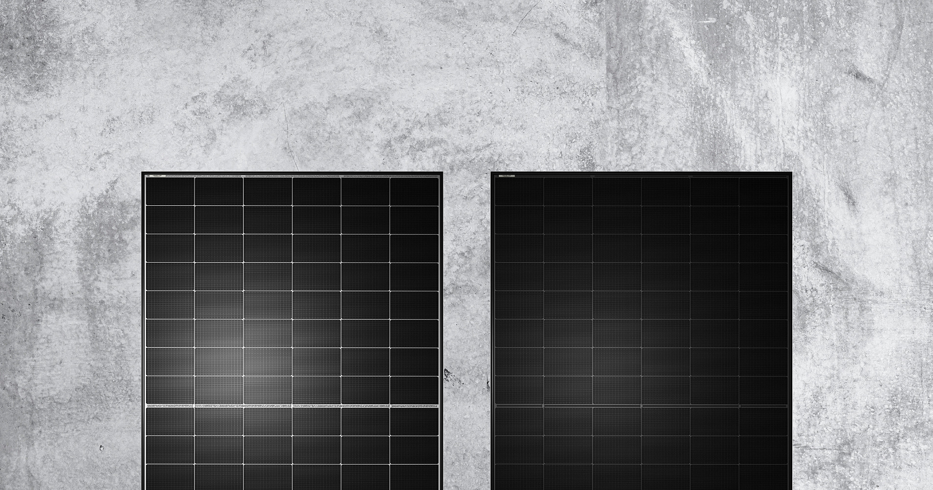 Solar Module Q Tron Qcells: Q.TRON Glass-Glass Solarmodul | 22,5 % Effizienz & 30 Jahre ...