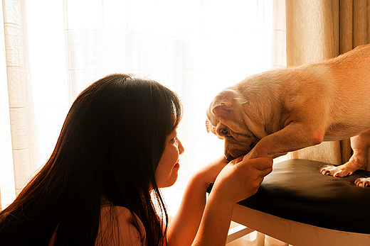 Frau mit Hund beim spielen