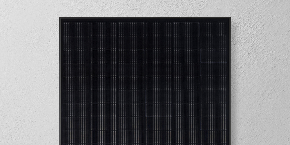 Qcells Solarmodul vor weißer Wand