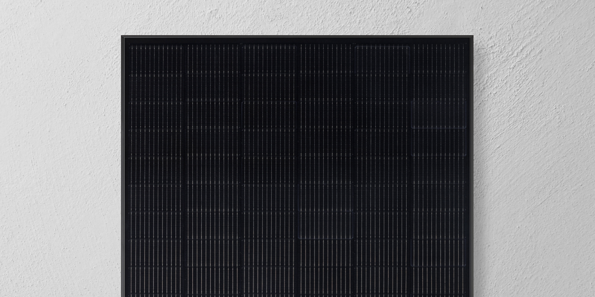 Qcells Solarmodul vor weißer Wand