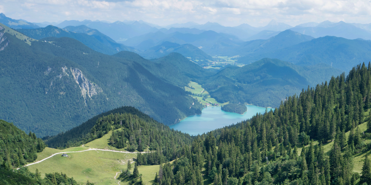 Berglandschaft im Sommer 